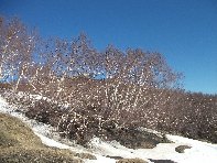 rra delle Concazze-20110410 017